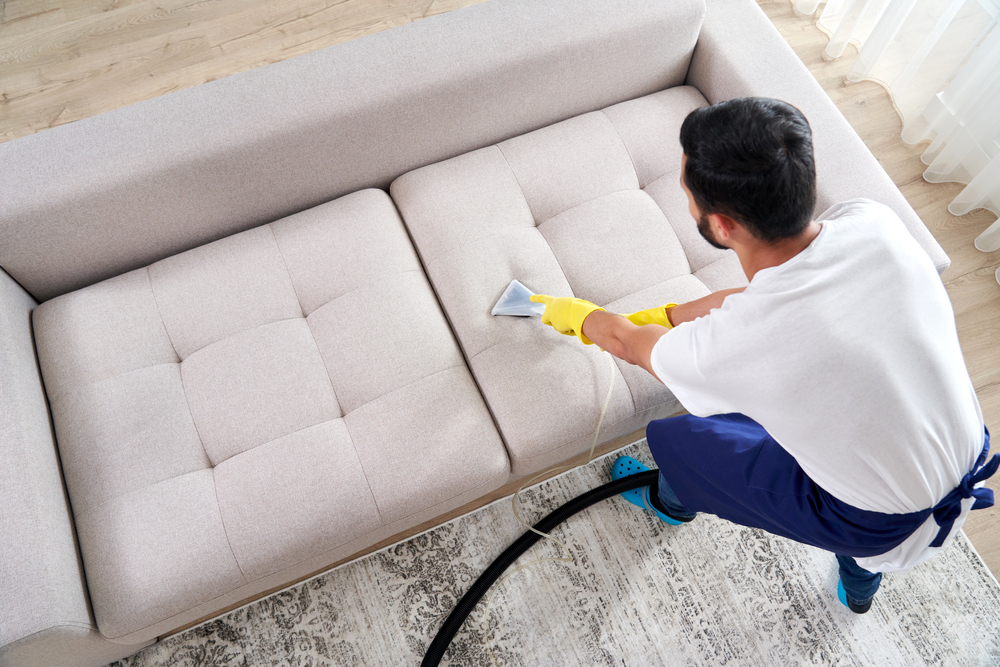 Instant  Sofa Dry Cleaning